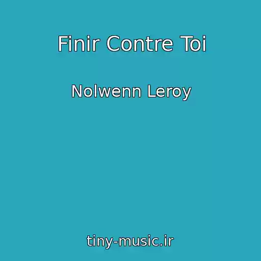 کاور آهنگ Finir Contre Toi از Nolwenn Leroy