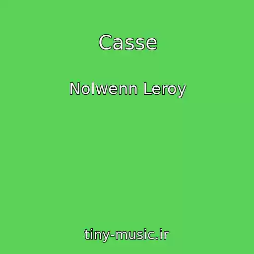 کاور آهنگ Casse از Nolwenn Leroy
