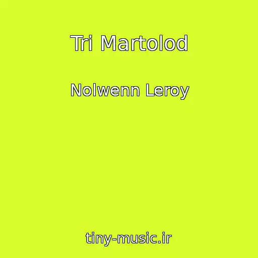 کاور آهنگ Tri Martolod از Nolwenn Leroy