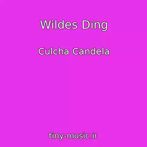 کاور آهنگ Wildes Ding از Culcha Candela