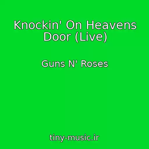 کاور آهنگ Knockin' On Heavens Door (Live) از Guns N' Roses