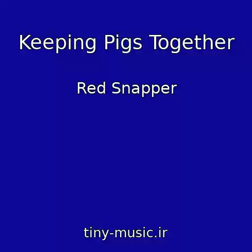 کاور آهنگ Keeping Pigs Together از Red Snapper