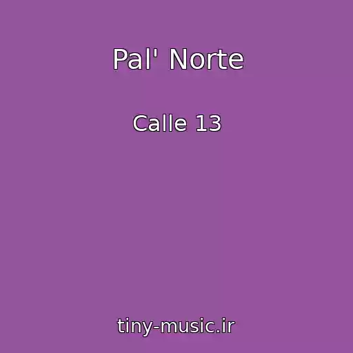 کاور آهنگ Pal' Norte از Calle 13