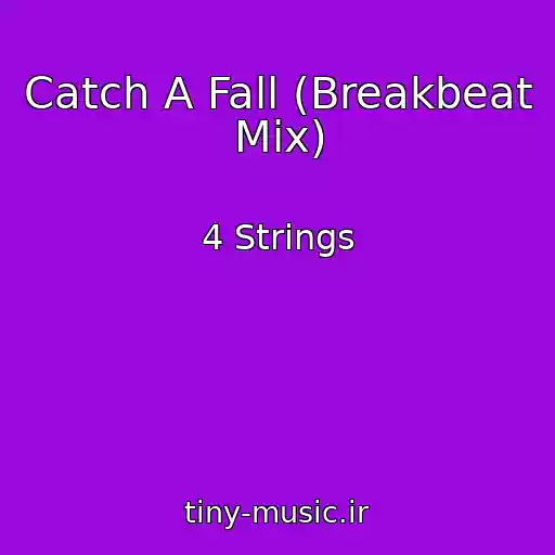 کاور آهنگ Catch A Fall (Breakbeat Mix) از 4 Strings