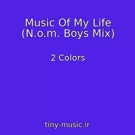 کاور آهنگ Music Of My Life (N.o.m. Boys Mix) از 2 Colors