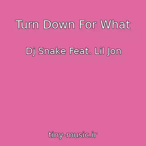 کاور آهنگ Turn Down For What از Dj Snake Feat. Lil Jon