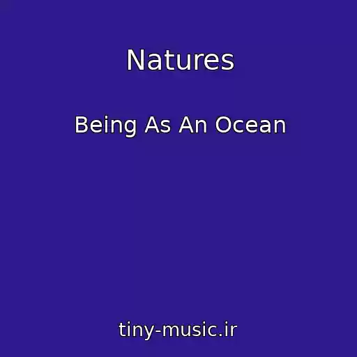 کاور آهنگ Natures از Being As An Ocean