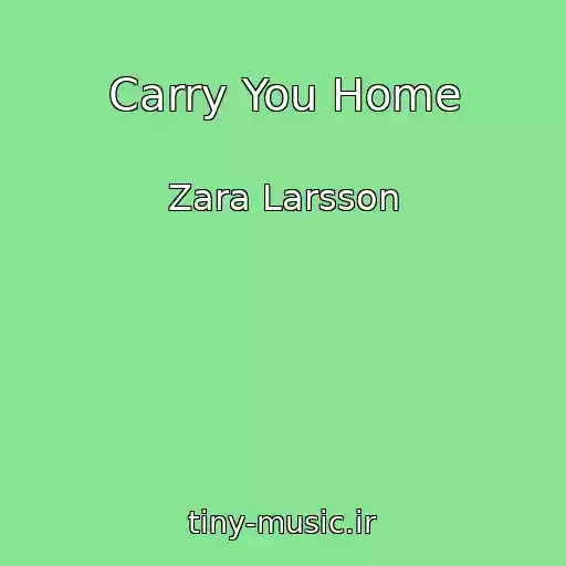 کاور آهنگ Carry You Home از Zara Larsson