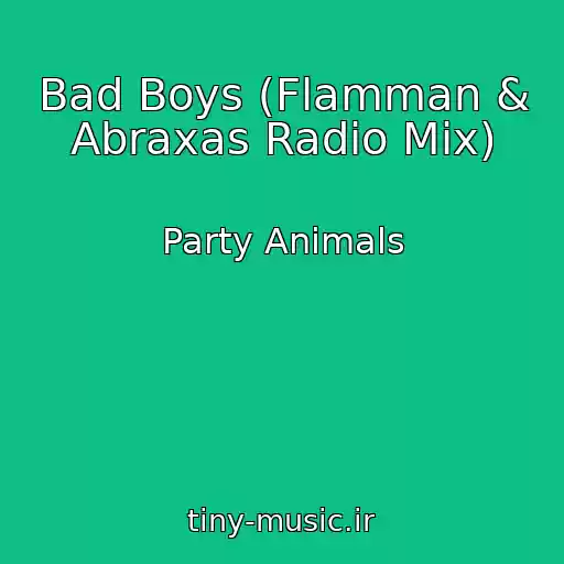 کاور آهنگ Bad Boys (Flamman & Abraxas Radio Mix) از Party Animals