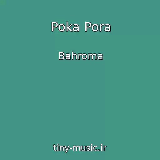 کاور آهنگ Poka Pora از Bahroma