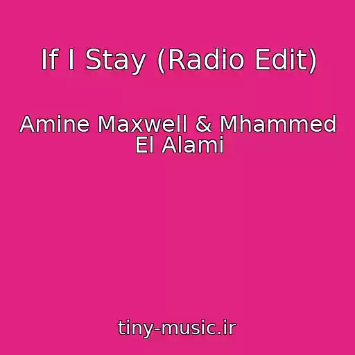 کاور آهنگ If I Stay (Radio Edit) از Amine Maxwell & Mhammed El Alami