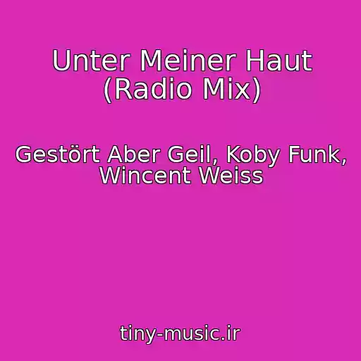 کاور آهنگ Unter Meiner Haut (Radio Mix) از Gestört Aber Geil, Koby Funk, Wincent Weiss