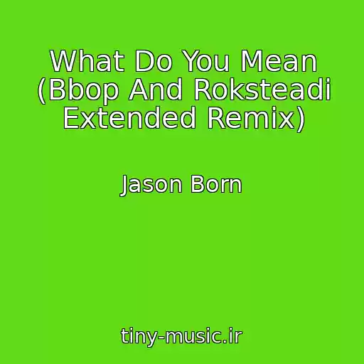 کاور آهنگ What Do You Mean (Bbop And Roksteadi Extended Remix) از Jason Born