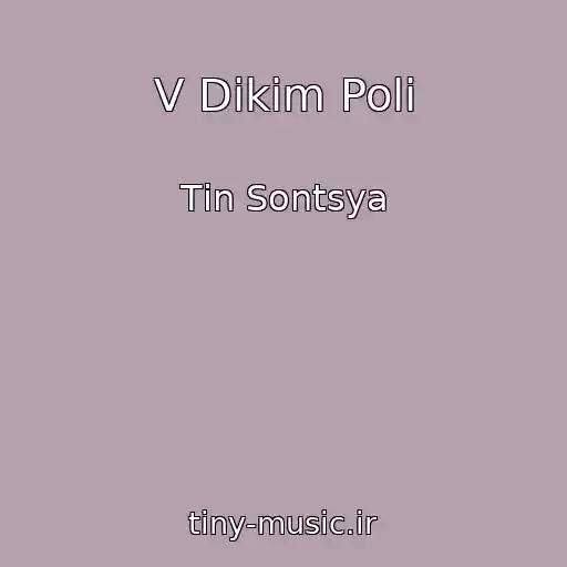 کاور آهنگ V Dikіm Polі از Tіn Sontsya