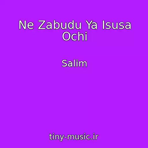 کاور آهنگ Ne Zabudu Ya Іsusa Ochі از Salim