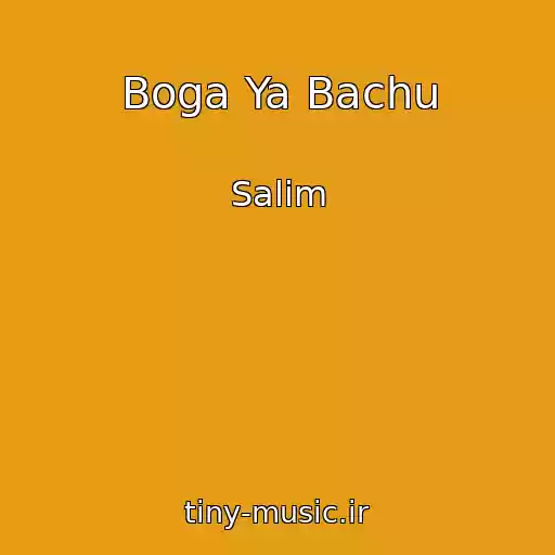 کاور آهنگ Boga Ya Bachu از Salim