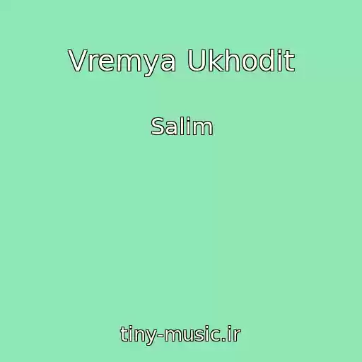 کاور آهنگ Vremya Ukhodit از Salim