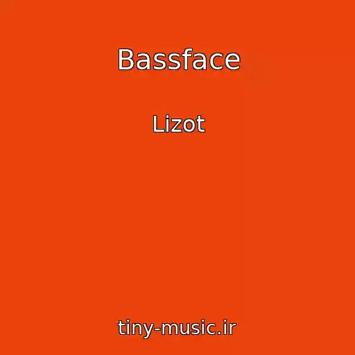 کاور آهنگ Bassface از Lizot