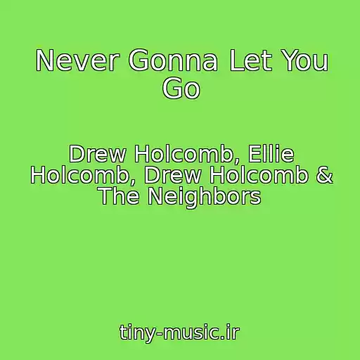 کاور آهنگ Never Gonna Let You Go از Drew Holcomb, Ellie Holcomb, Drew Holcomb & The Neighbors