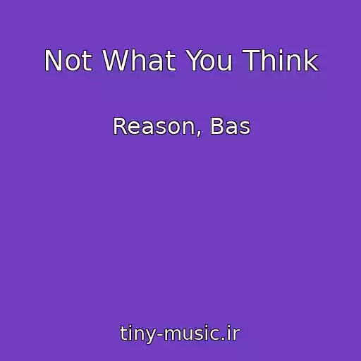 کاور آهنگ Not What You Think از Reason, Bas