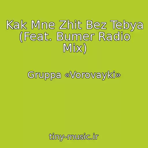 کاور آهنگ Kak Mne Zhit Bez Tebya (Feat. Bumer Radio Mix) از Gruppa «Vorovayki»