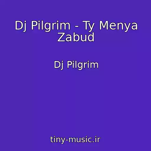 کاور آهنگ Dj Pilgrim - Ty Menya Zabud از Dj Pilgrim