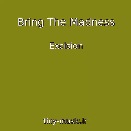 کاور آهنگ Bring The Madness از Excision