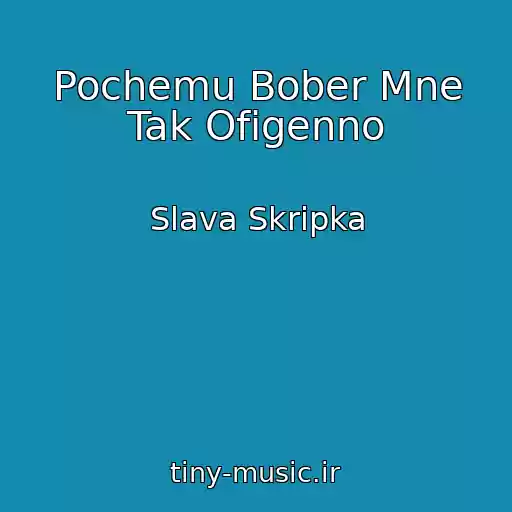 کاور آهنگ Pochemu Bober Mne Tak Ofigenno از Slava Skripka