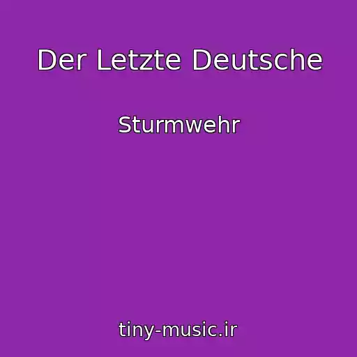 کاور آهنگ Der Letzte Deutsche از Sturmwehr