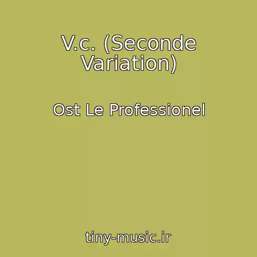 کاور آهنگ V.c. (Seconde Variation) از Ost Le Professionel