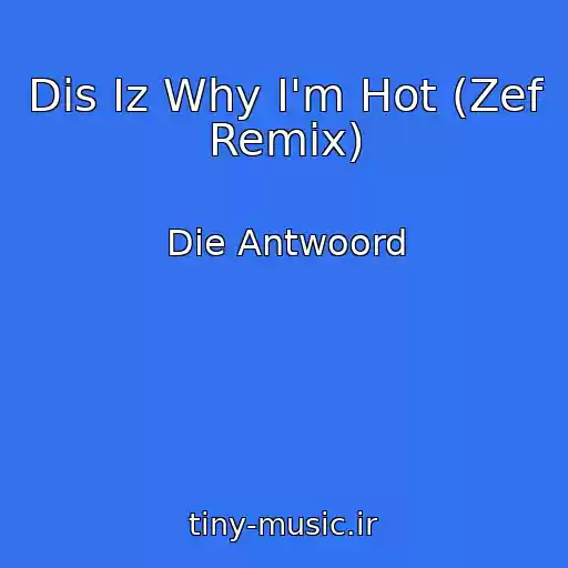 کاور آهنگ Dis Iz Why I'm Hot (Zef Remix) از Die Antwoord