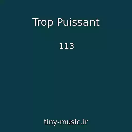 کاور آهنگ Trop Puissant از 113