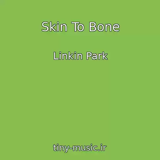 کاور آهنگ Skin To Bone از Linkin Park