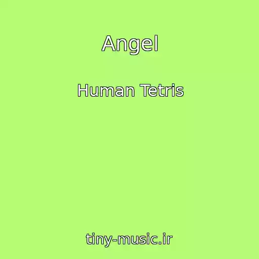 کاور آهنگ Angel از Human Tetris