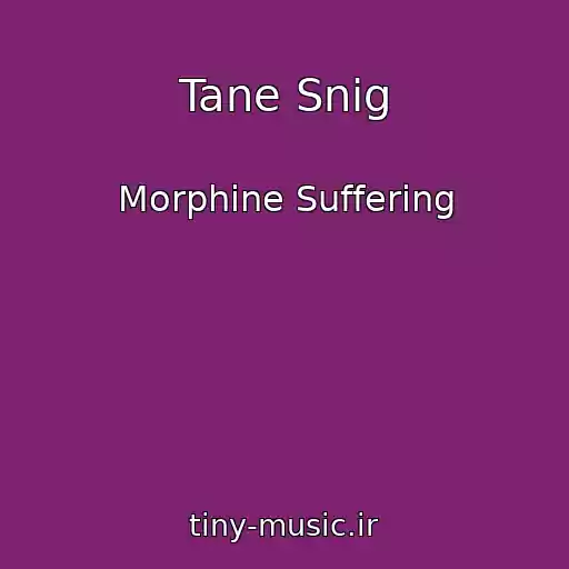کاور آهنگ Tane Snіg از Morphine Suffering