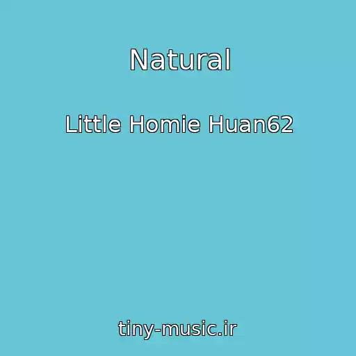 کاور آهنگ Natural از Little Homie Huan62