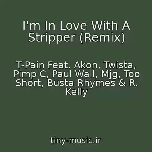 کاور آهنگ I'm In Love With A Stripper (Remix) از T-Pain Feat. Akon, Twista, Pimp C, Paul Wall, Mjg, Too Short, Busta Rhymes & R. Kelly