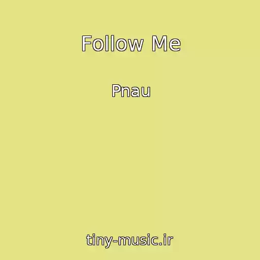 کاور آهنگ Follow Me از Pnau
