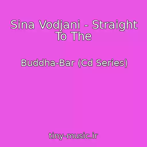 کاور آهنگ Sina Vodjani - Straight To The از Buddha-Bar (Cd Series)