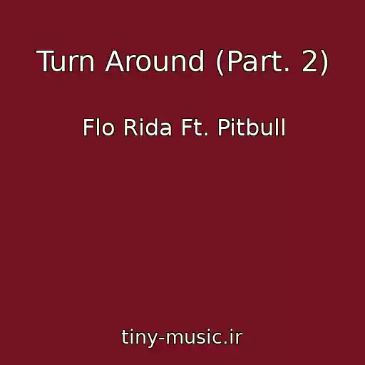 کاور آهنگ Turn Around (Part. 2) از Flo Rida Ft. Pitbull