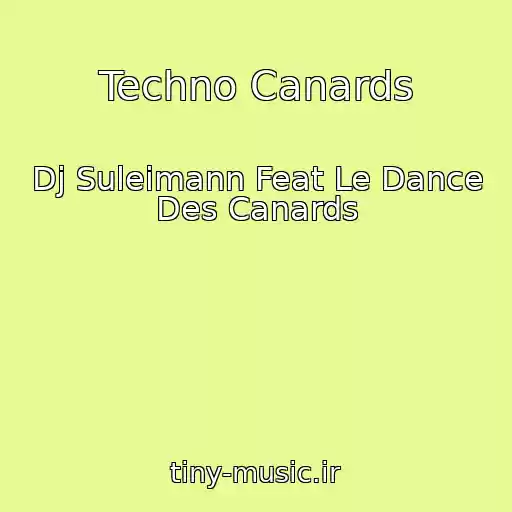 کاور آهنگ Techno Canards از Dj Suleimann Feat Le Dance Des Canards