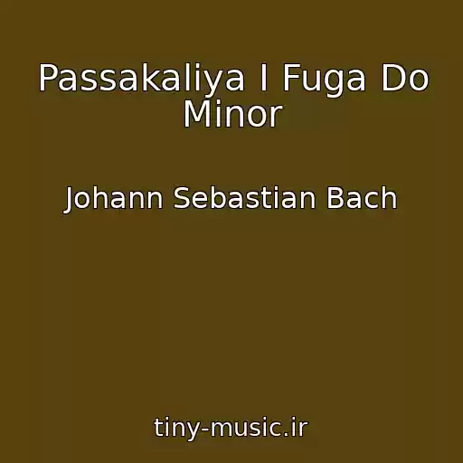 کاور آهنگ Passakaliya I Fuga Do Minor از Johann Sebastian Bach