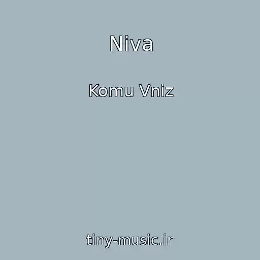 کاور آهنگ Niva از Komu Vniz