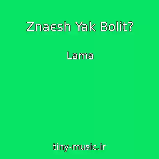 کاور آهنگ Znaєsh Yak Bolit? از Lama