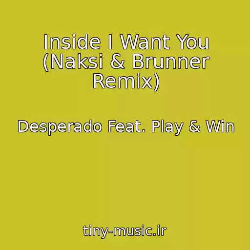 کاور آهنگ Inside I Want You (Naksi & Brunner Remix) از Desperado Feat. Play & Win