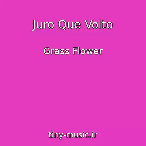 کاور آهنگ Juro Que Volto از Grass Flower