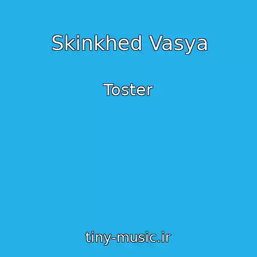 کاور آهنگ Skіnkhed Vasya از Toster