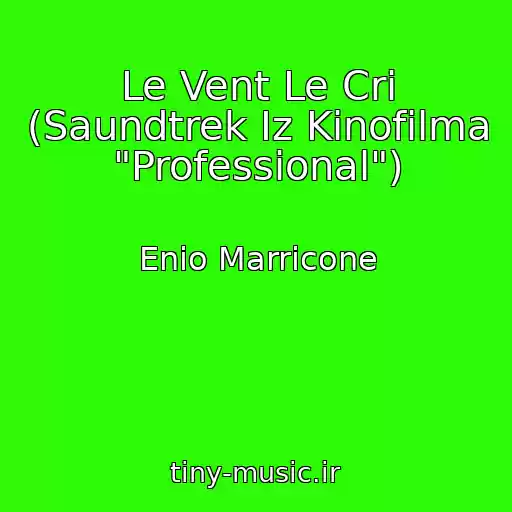 کاور آهنگ Le Vent Le Cri (Saundtrek Iz Kinofilma "Professional") از Enio Marricone