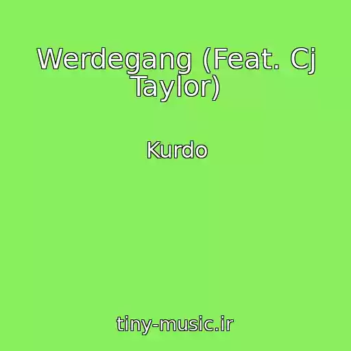 کاور آهنگ Werdegang (Feat. Cj Taylor) از Kurdo