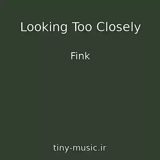 کاور آهنگ Looking Too Closely از Fink